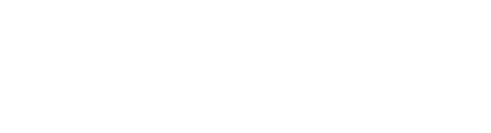 Virtual Check