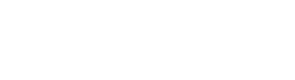 Virtual Check eCheck Processing Logo